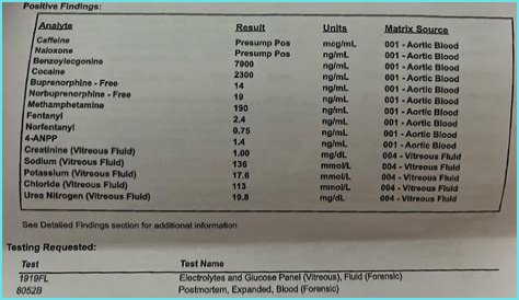 Grayson Murray Autopsy: Toxicology Report Holds Key Answers