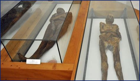 Mummified Bodies Uncovered In 17th-Century Italy Still Puzzle Scientists